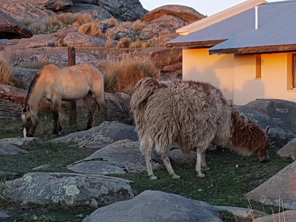 La Posta Hotel Y Refugio De Montana Mina Clavero Esterno foto